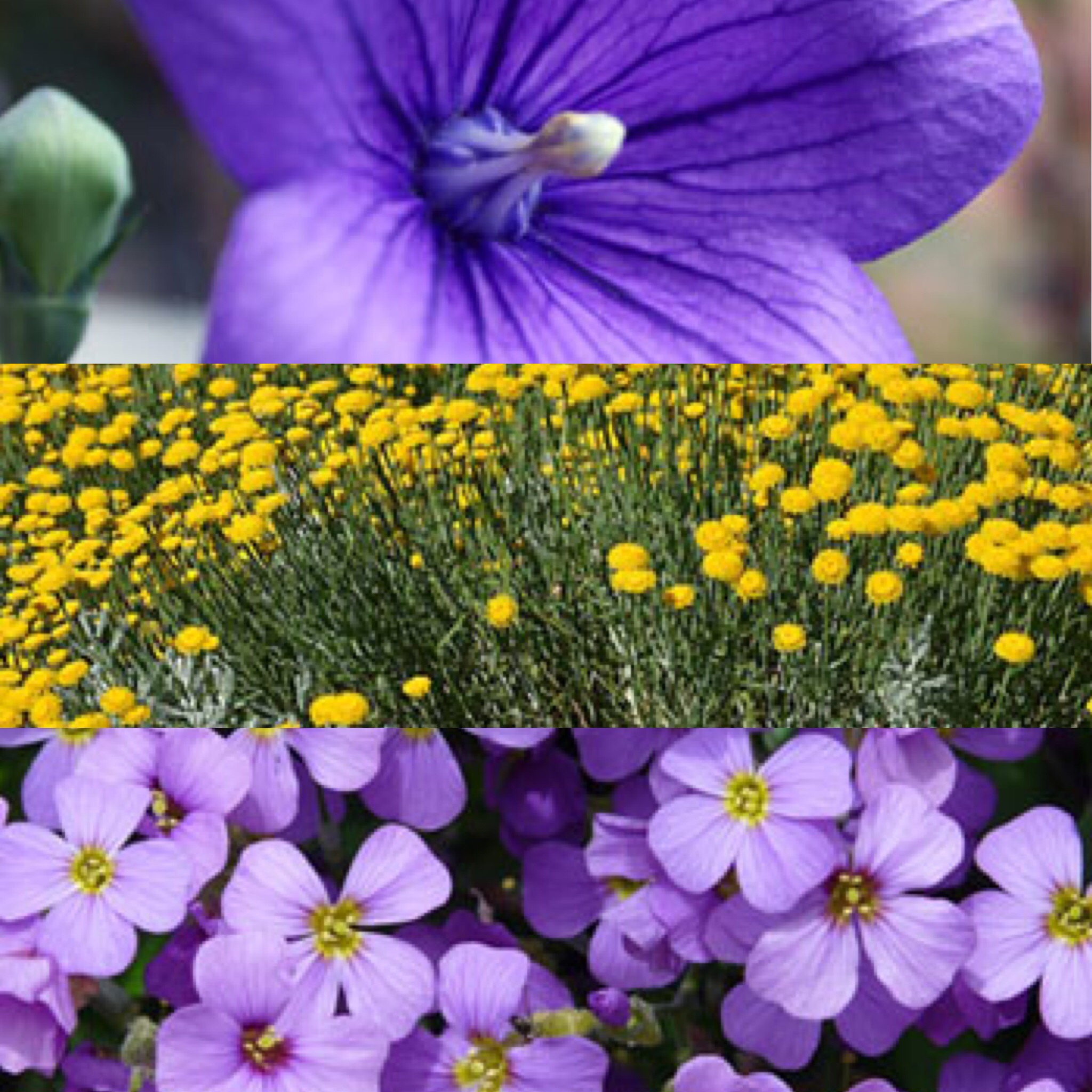 110EAB85-C15B-422B-B971-A30372664E1B